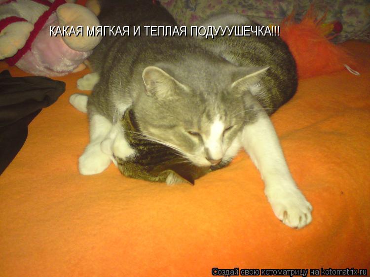 Котоматрица: КАКАЯ МЯГКАЯ И ТЕПЛАЯ ПОДУУУШЕЧКА!!!