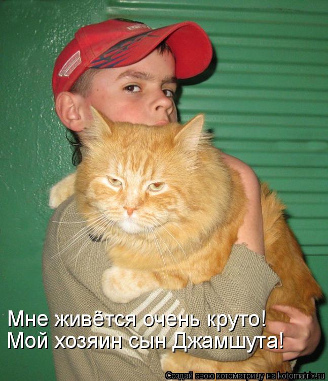 Котоматрица: Мне живётся очень круто! Мой хозяин сын Джамшута!