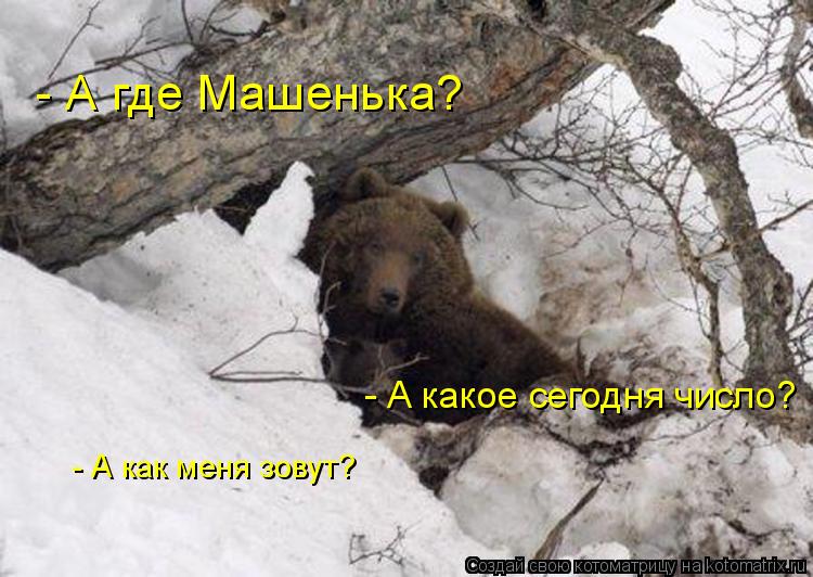 Котоматрица: - А где Машенька? - А какое сегодня число? - А как меня зовут?