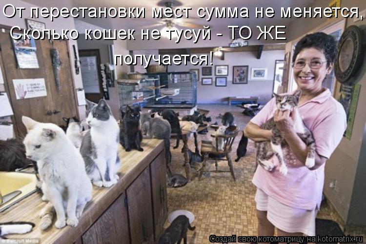 Котоматрица: От перестановки мест сумма не меняется,  Сколько кошек не тусуй - ТО ЖЕ   получается!