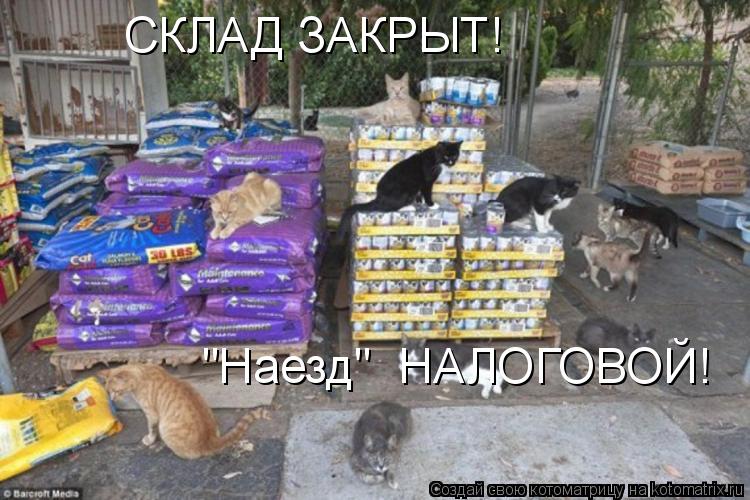 Котоматрица: СКЛАД ЗАКРЫТ! "Наезд"  НАЛОГОВОЙ!