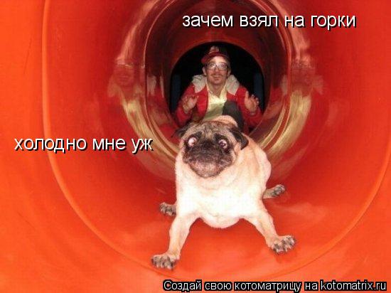 Котоматрица: зачем взял на горки холодно мне уж