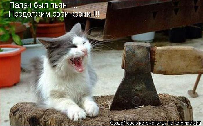 Палач был пьян .... Продолжим свои козни !!!... Котоматрица: Палач был пьян .... Продолжим свои козни !!!