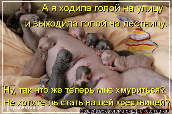 А я ходила голой на улицу и выходила голой на лестницу. Ну, так что же теперь мне хмуриться? Не хотит... Котоматрица: А я ходила голой на улицу и выходила голой на лестницу. Ну, так что же теперь мне хмуриться? Не хотите ль стать нашей крестницей?