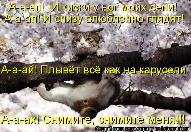 А-а-ап! И киски у ног моих сели! А-а-ап! И снизу влюбленно глядят! А-а-ай! Плывёт всё как на карусел... Котоматрица: А-а-ап! И киски у ног моих сели! А-а-ап! И снизу влюбленно глядят! А-а-ай! Плывёт всё как на карусели А-а-ах! Снимите, снимите меня!!!