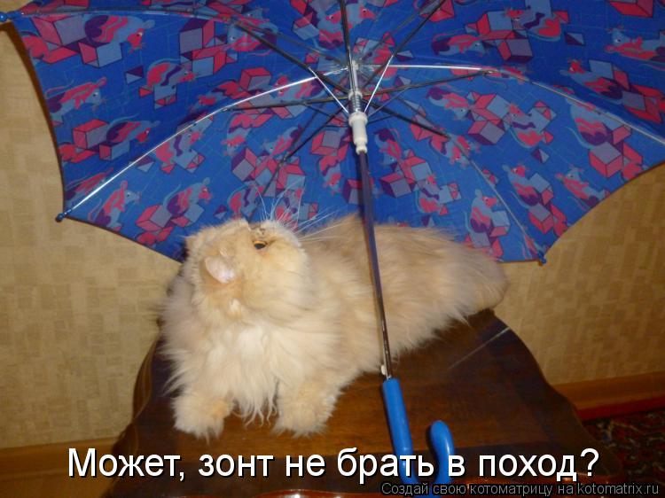 Может, зонт не брать в поход?... Котоматрица: Может, зонт не брать в поход?