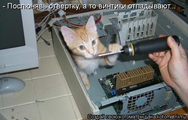 - Послюнявь отвертку, а то винтики отпадывают...... Котоматрица: - Послюнявь отвертку, а то винтики отпадывают...