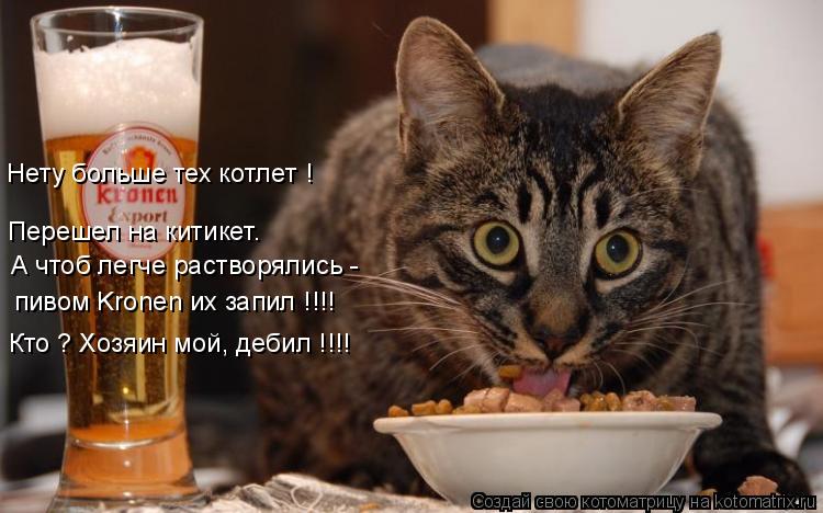 Нету больше тех котлет ! Перешел на китикет. А чтоб легче растворялись - пивом Kronen их запил !!!! К... Котоматрица: Нету больше тех котлет ! Перешел на китикет. А чтоб легче растворялись - пивом Kronen их запил !!!! Кто ? Хозяин мой, дебил !!!!