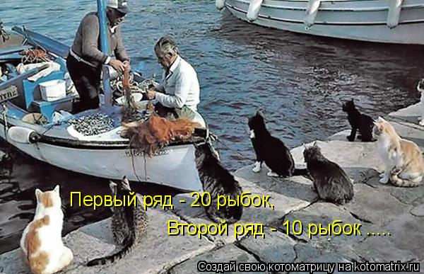 Котоматрица: Первый ряд - 20 рыбок, Второй ряд - 10 рыбок .....