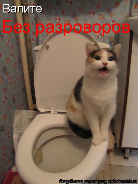 Котоматрица: Валите Без разроворов