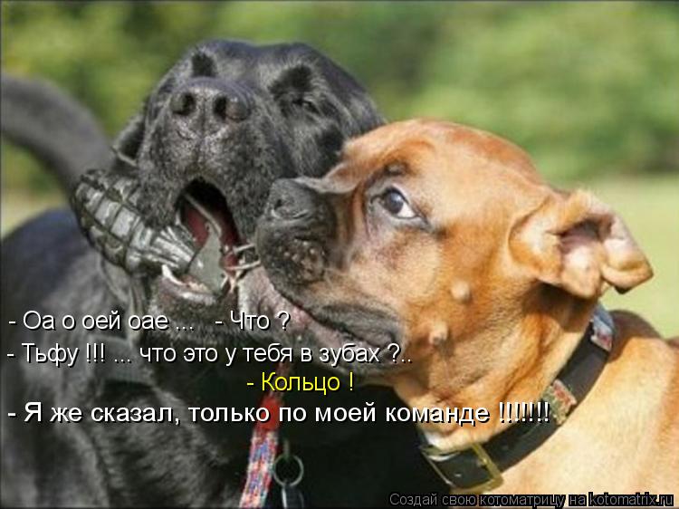 Котоматрица: - Оа о оей оае ...   - Что ? - Тьфу !!! ... что это у тебя в зубах ?.. - Кольцо ! - Я же сказал, только по моей команде !!!!!!!