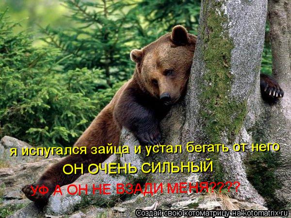 Котоматрица: я испугался зайца и устал бегать от него ОН ОЧЕНЬ СИЛЬНЫЙ  УФ А ОН НЕ ВЗАДИ МЕНЯ????