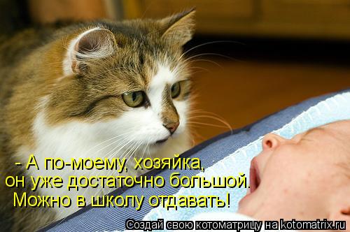 Котоматрица: - А по-моему, хозяйка,  он уже достаточно большой.  Можно в школу отдавать!
