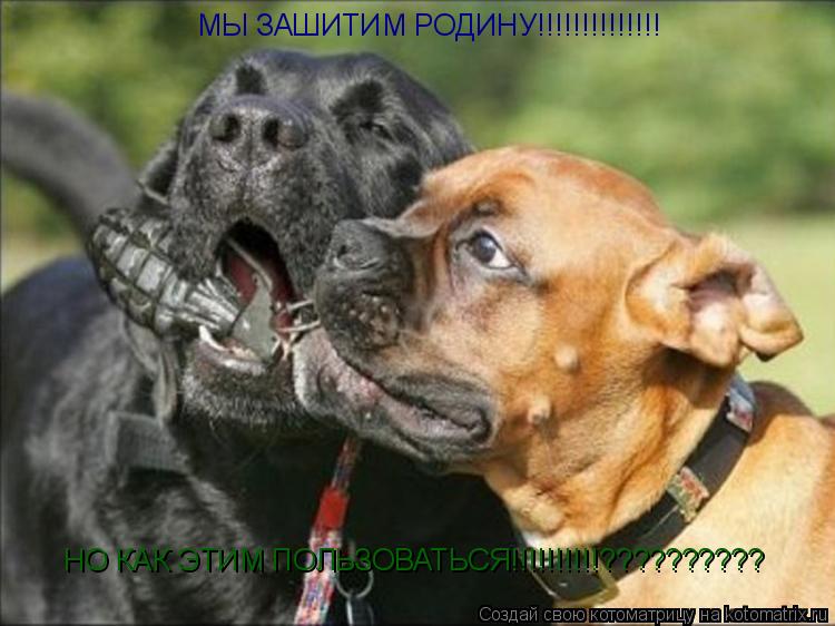 Котоматрица: МЫ ЗАШИТИМ РОДИНУ!!!!!!!!!!!!!! НО КАК ЭТИМ ПОЛЬЗОВАТЬСЯ!!!!!!!!!!??????????