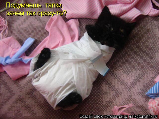Котоматрица: зачем так сразу-то? Подумаешь  тапки,