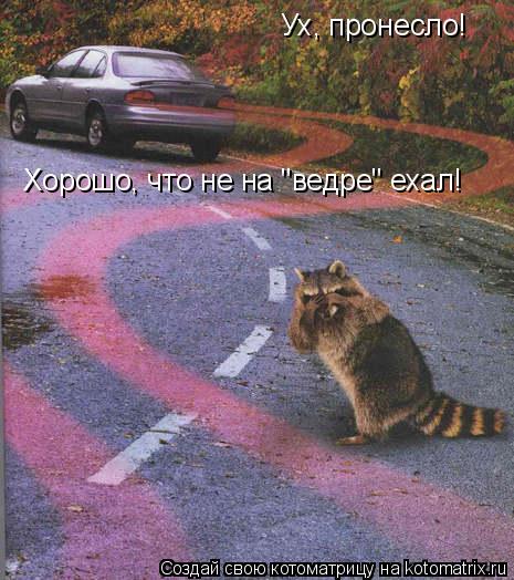 Котоматрица: Ух, пронесло! Хорошо, что не на "ведре" ехал!