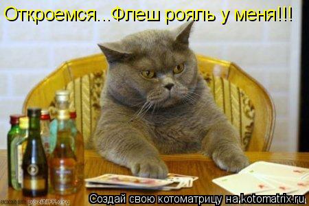 Котоматрица: Откроемся...Флеш рояль у меня!!!