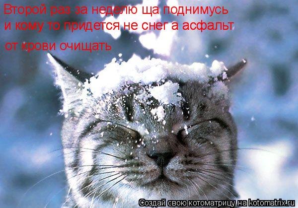 Котоматрица: Второй раз за неделю ща поднимусь и кому то придется не снег а асфальт от крови очищать Второй раз за неделю ща поднимусь  и кому то придется
