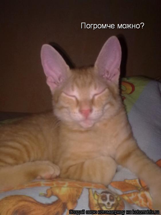 Котоматрица: Погромче можно? Погромче можно?