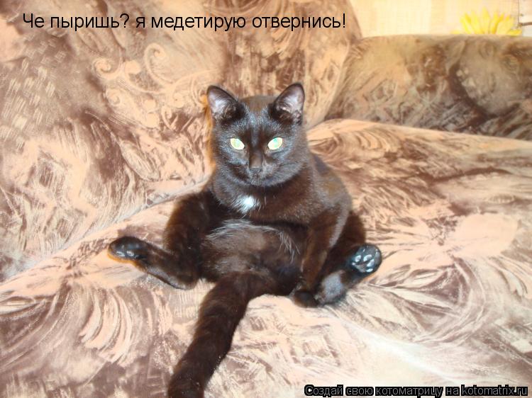 Котоматрица: Че пыришь? я медетирую отвернись!