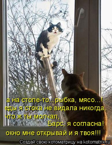 а на столе-то...рыбка, мясо...! еды я стока не видала никогда, что ж ты молчал, Барс, я согласна! ок... Котоматрица: а на столе-то...рыбка, мясо...! еды я стока не видала никогда, что ж ты молчал, Барс, я согласна! окно мне открывай и я твоя!!!