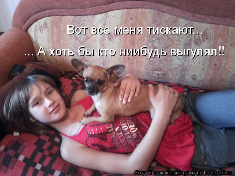 Котоматрица: Вот все меня тискают... ... А хоть бы кто ниибудь выгулял!!