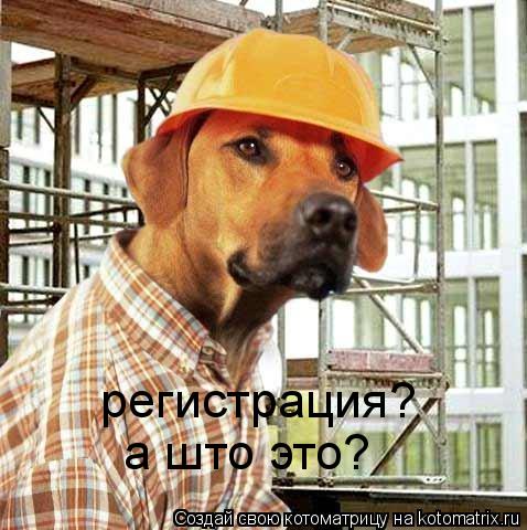 Котоматрица: регистрация? а што это?