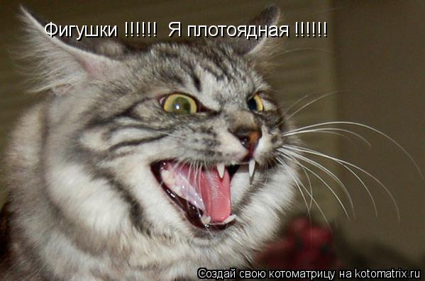 Котоматрица: Фигушки !!!!!!  Я плотоядная !!!!!!