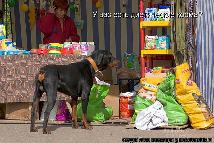 У вас есть диетические корма?... Котоматрица: У вас есть диетические корма?