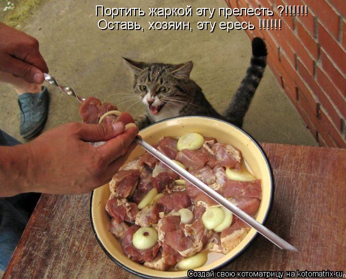 Портить жаркой эту прелесть ?!!!!!! Оставь, хозяин, эту ересь !!!!!!... Котоматрица: Портить жаркой эту прелесть ?!!!!!! Оставь, хозяин, эту ересь !!!!!!