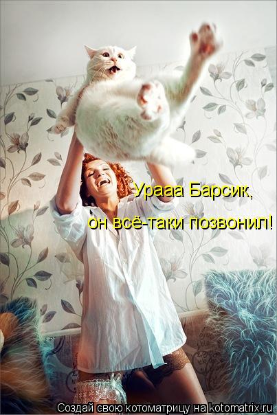 Урааа Барсик, он всё-таки позвонил!... Котоматрица: Урааа Барсик, он всё-таки позвонил!