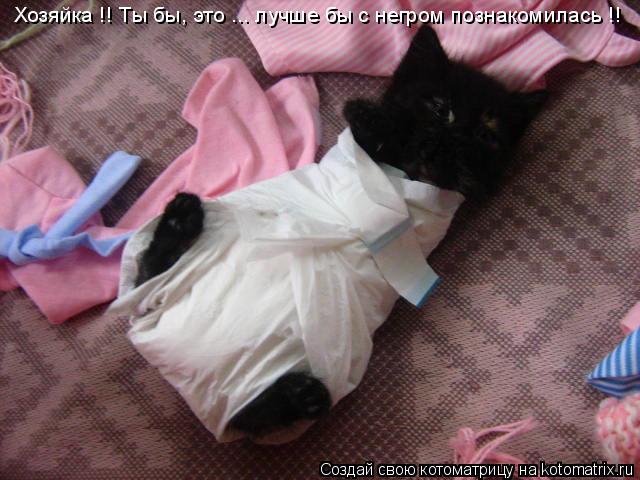 Хозяйка !! Ты бы, это ... лучше бы с негром познакомилась !!... Котоматрица: Хозяйка !! Ты бы, это ... лучше бы с негром познакомилась !!
