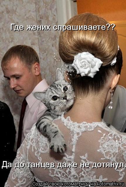Где жених спрашиваете?? Да до танцев даже не дотянул.... Котоматрица: Где жених спрашиваете?? Да до танцев даже не дотянул.