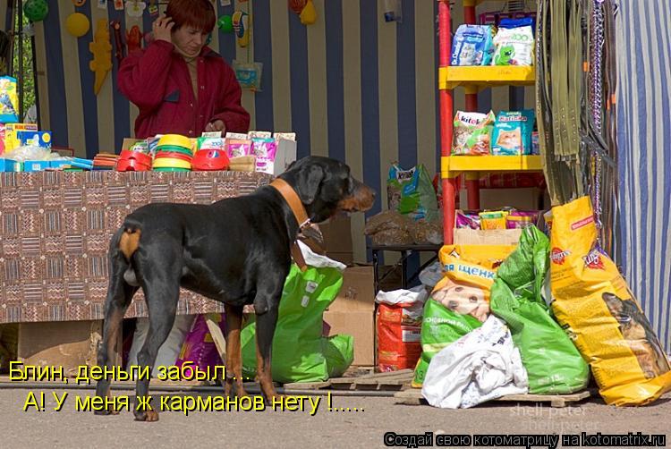 Блин, деньги забыл ... А! У меня ж карманов нету !........ Котоматрица: Блин, деньги забыл ... А! У меня ж карманов нету !.....