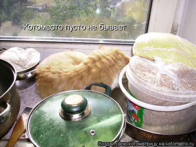 Котоместо пусто не бывает... Котоматрица: Котоместо пусто не бывает