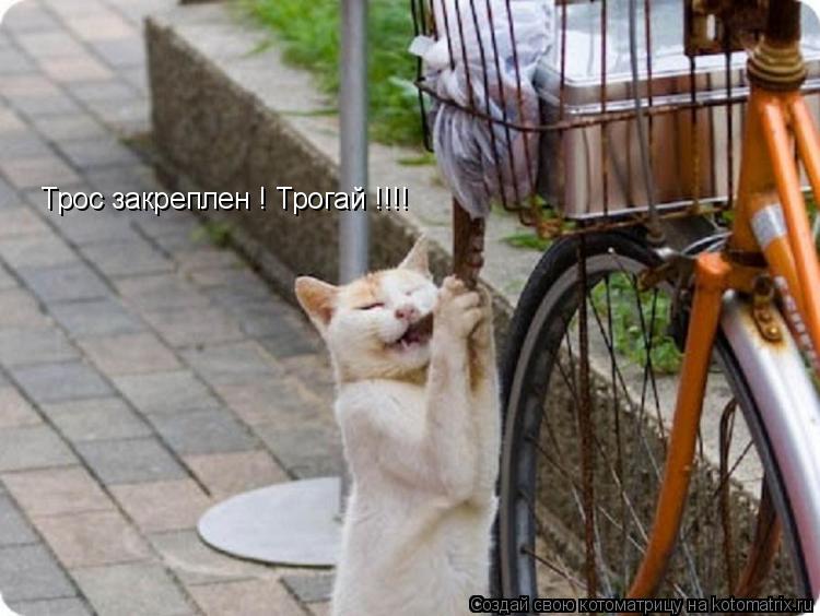 Котоматрица: Трос закреплен ! Трогай !!!!
