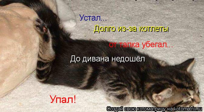 Котоматрица: Устал... Долго из-за котлеты от тапка убегал... До дивана недошёл Упал!