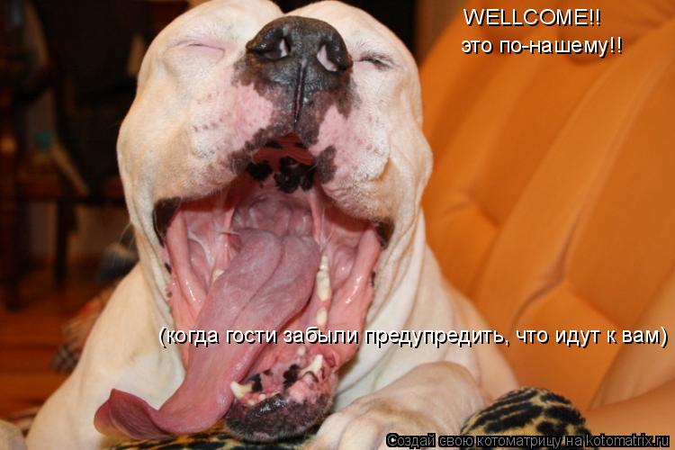 Котоматрица: WELLCOME!! это по-нашему!! (когда гости забыли предупредить, что идут к вам)