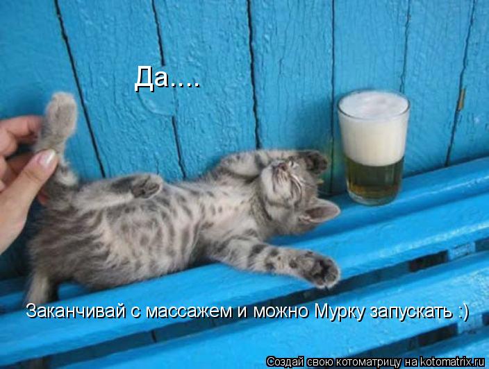 Котоматрица: Да....  Заканчивай с массажем и можно Мурку запускать :)
