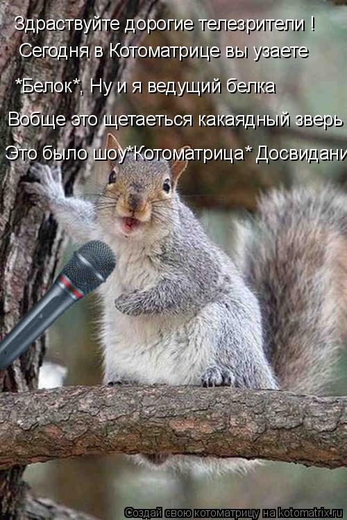 Здраствуйте дорогие телезрители ! Сегодня в Котоматрице вы узаете *Белок*, Ну и я ведущий белка Вобще... Котоматрица: Здраствуйте дорогие телезрители ! Сегодня в Котоматрице вы узаете *Белок*, Ну и я ведущий белка Вобще это щетаеться какаядный зверь Это было