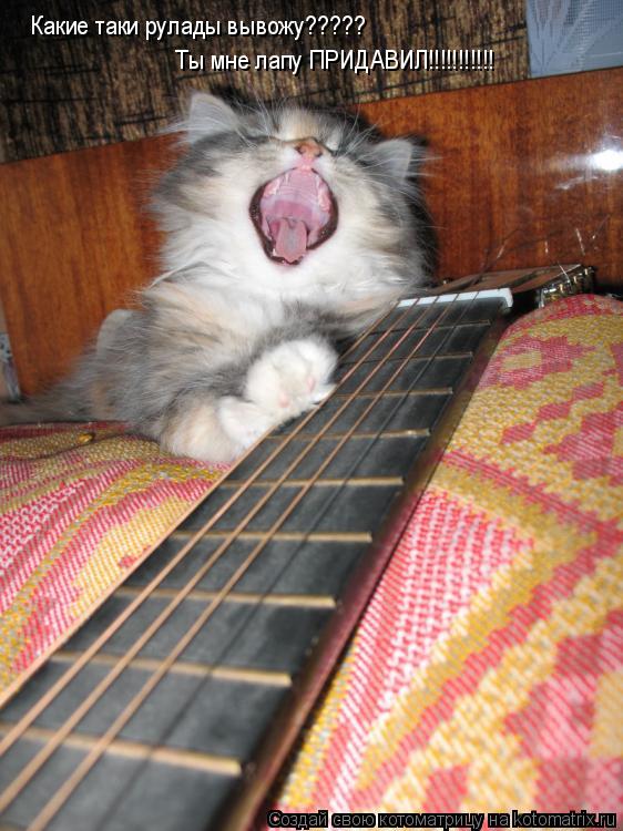 Котоматрица: Какие таки рулады вывожу?????  Ты мне лапу ПРИДАВИЛ!!!!!!!!!!!