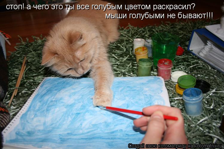 Котоматрица: стоп! а чего это ты все голубым цветом раскрасил? мыши голубыми не бывают!!!