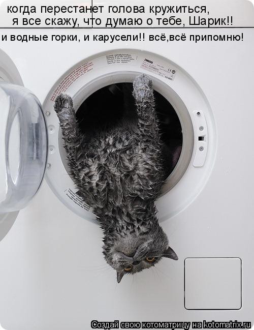 Котоматрица: когда перестанет голова кружиться,  я все скажу, что думаю о тебе, Шарик!! и водные горки, и карусели!! всё,всё припомню!