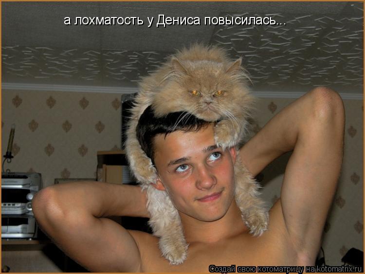 Котоматрица: а лохматость у Дениса повысилась...