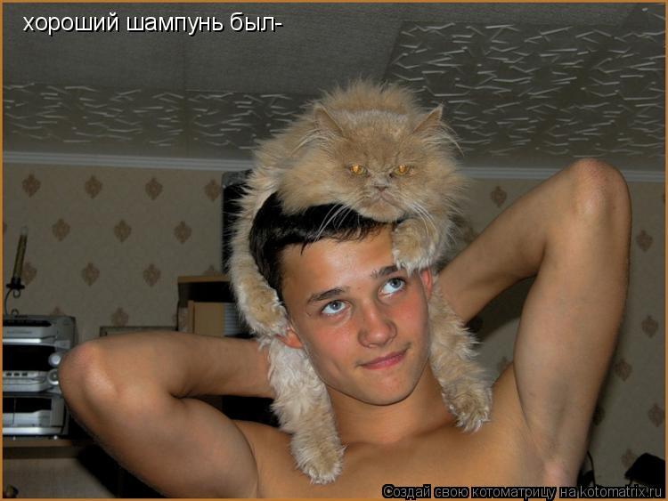 Котоматрица: хороший шампунь был-