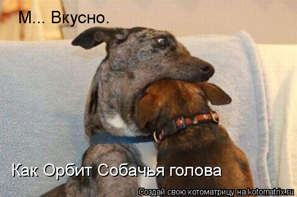 Котоматрица: М... Вкусно. Как Орбит Собачья голова