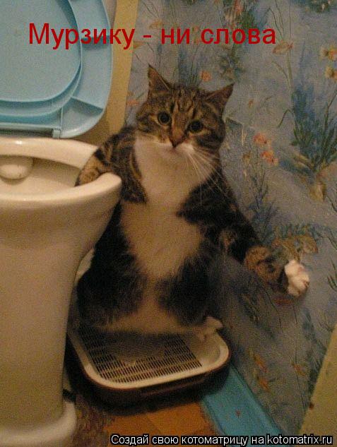 Котоматрица: Мурзику - ни слова