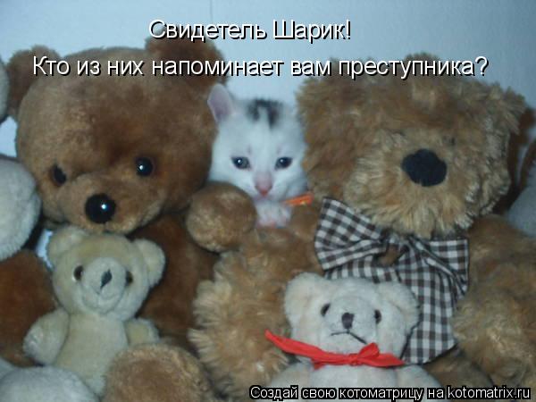 Котоматрица: Свидетель Шарик! Кто из них напоминает вам преступника?