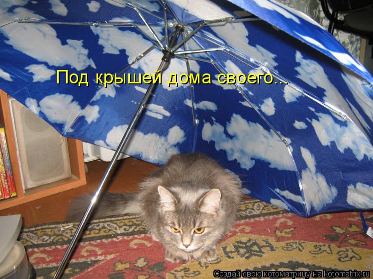 Котоматрица: Под крышей дома своего...