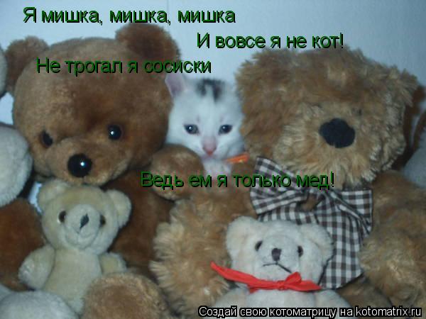 Котоматрица: Я мишка, мишка, мишка И вовсе я не кот! Не трогал я сосиски Ведь ем я только мед!